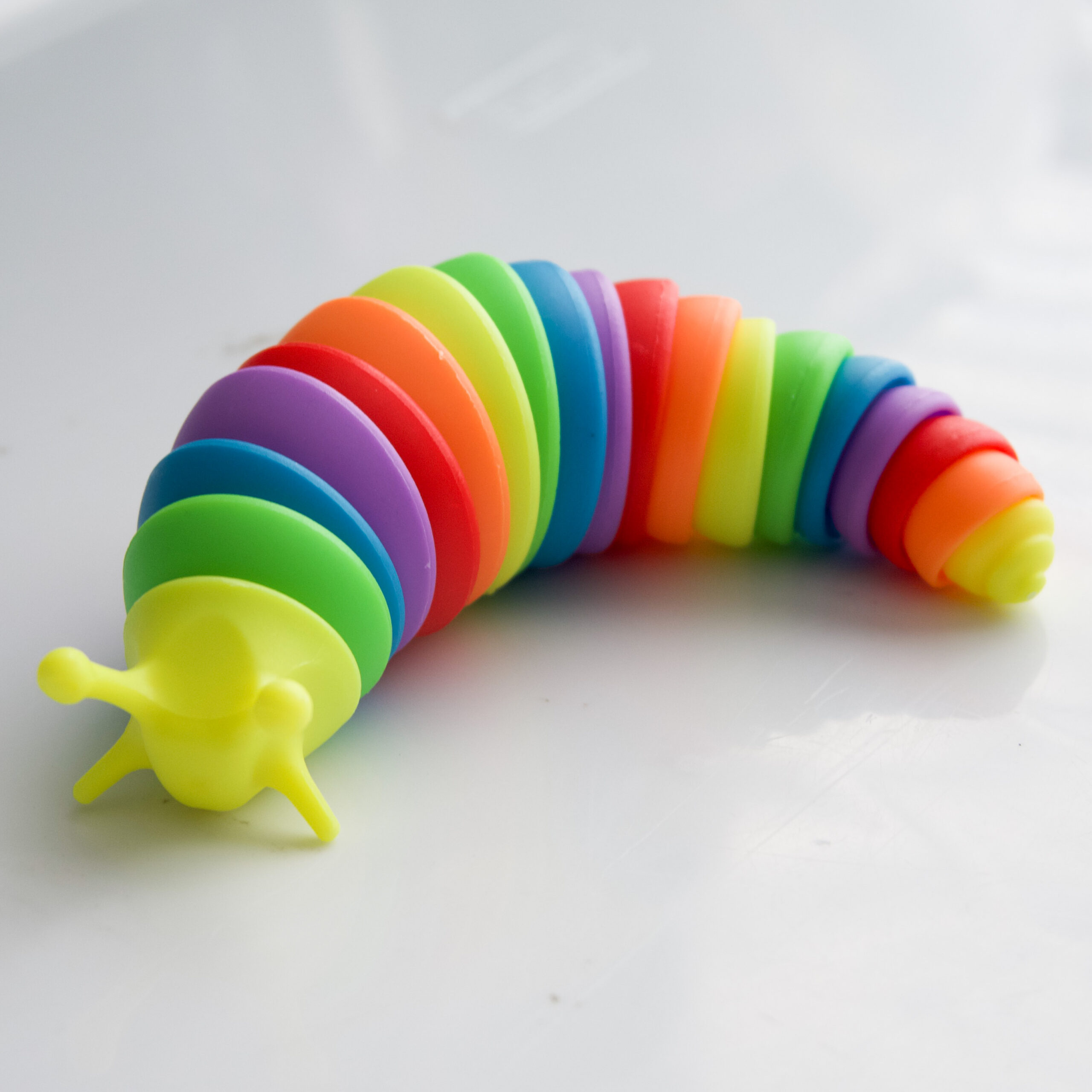 small yellow head, rainbow body, yellow tail tip