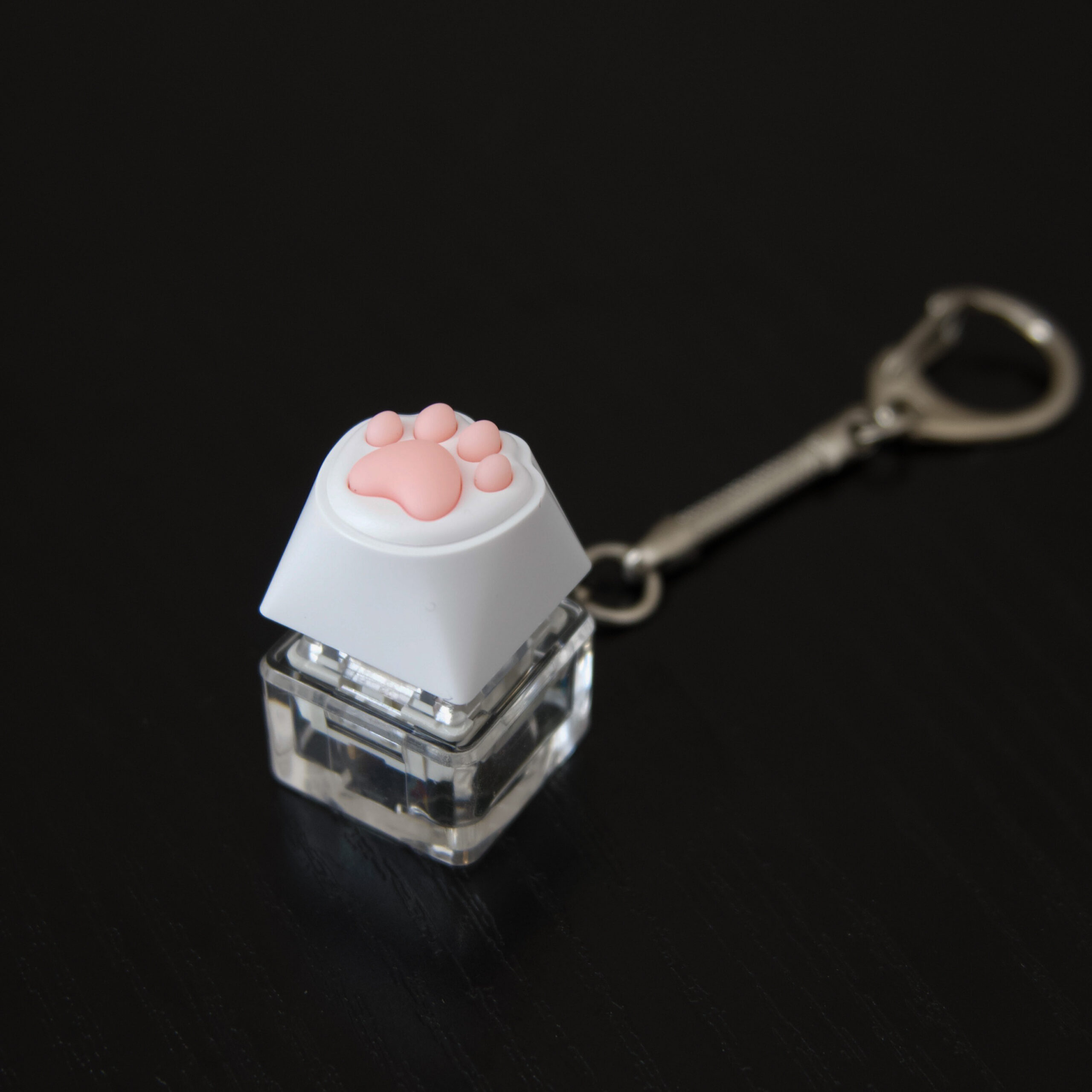 keyboard fidget with a white key and pink paw on top, clear bottom, and a keychain attached. It's on a dark background that provides contrast.