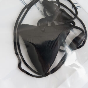 black triangle shape chew necklace to resemble a shark tooth
